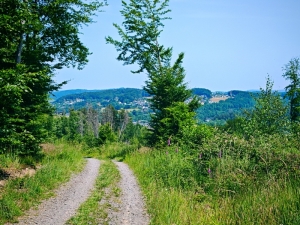 21. Juni 2025 - Nacktwandern im Königsforst bei Rösrath/Köln mit Baden in der Sülz